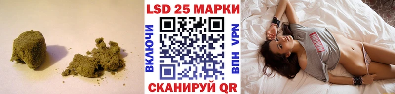 купить наркоту  Светлогорск  LSD-25 экстази ecstasy 