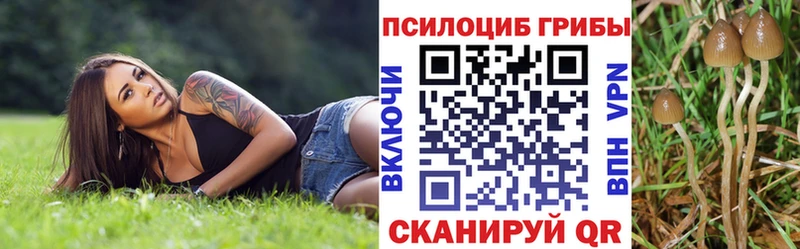 Галлюциногенные грибы Psilocybine cubensis  Светлогорск 