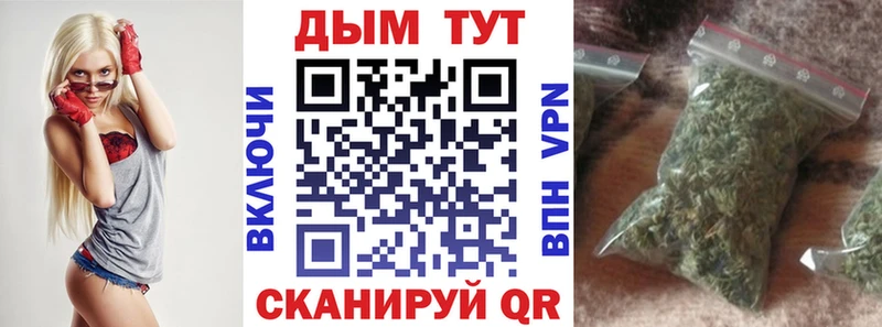 Бошки Шишки OG Kush  наркотики  Светлогорск 